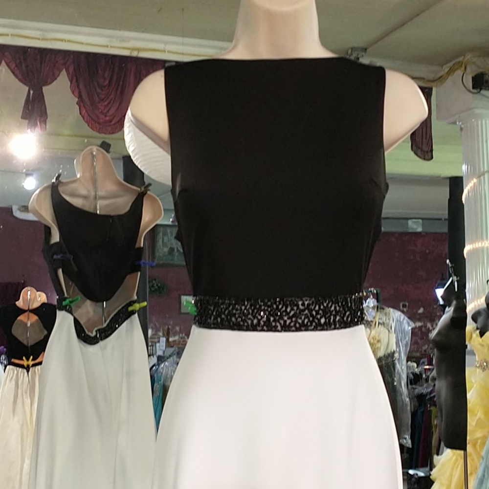 Alyce Paris evening gown - Picture 2 of 10